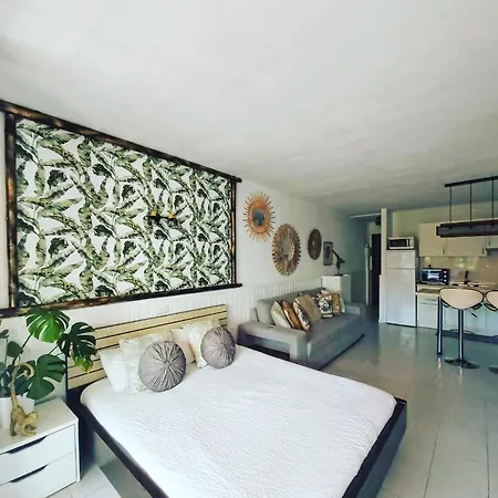 Tropical Garden View With Pool Апартаменты Коста-дель-Силенцио